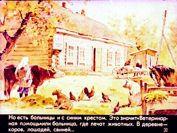 Кадр 3 диафильма «Звериная больница»