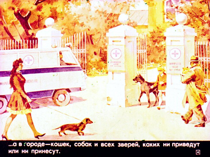 Кадр 4 диафильма «Звериная больница»