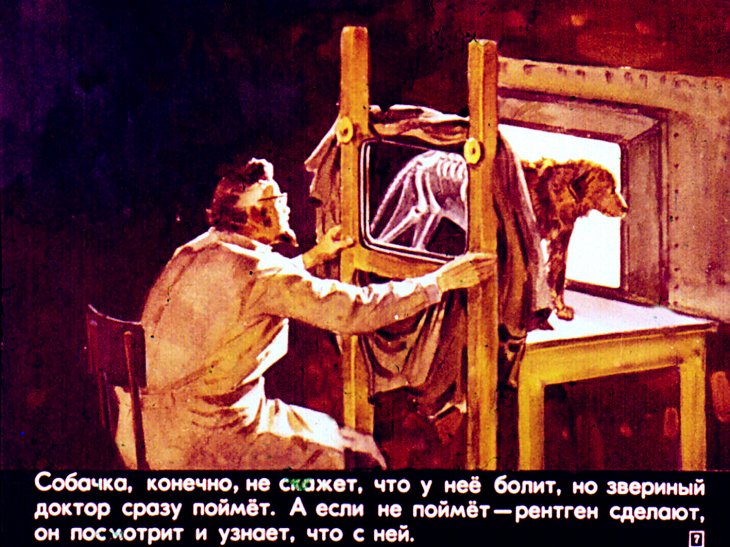 Кадр 7 диафильма «Звериная больница»