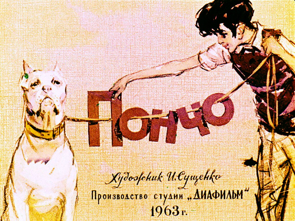 Кадр 1 диафильма «Пончо»