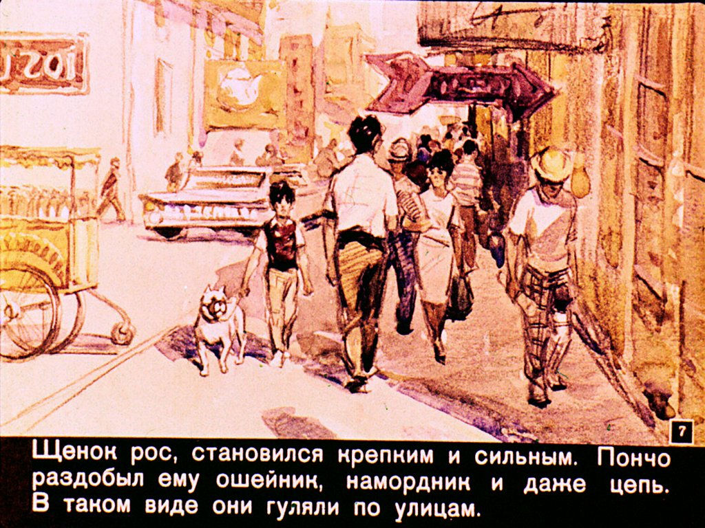 Кадр 7 диафильма «Пончо»
