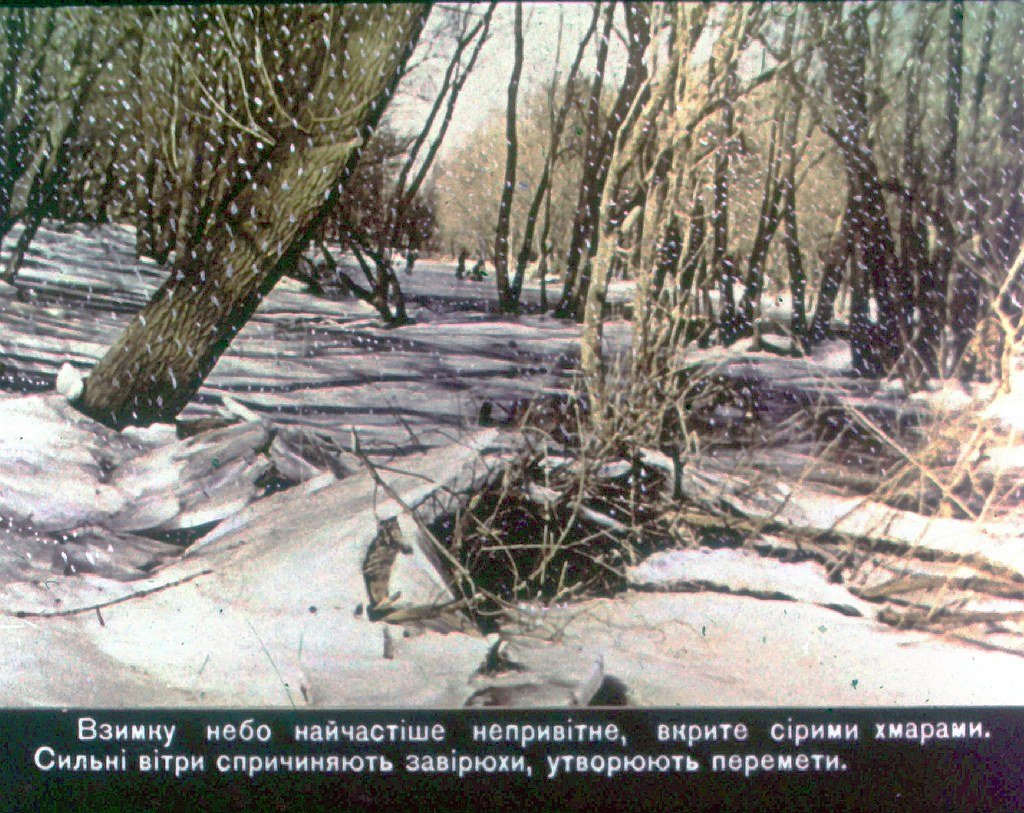 Кадр 6 диафильма «Времена года. Зима»