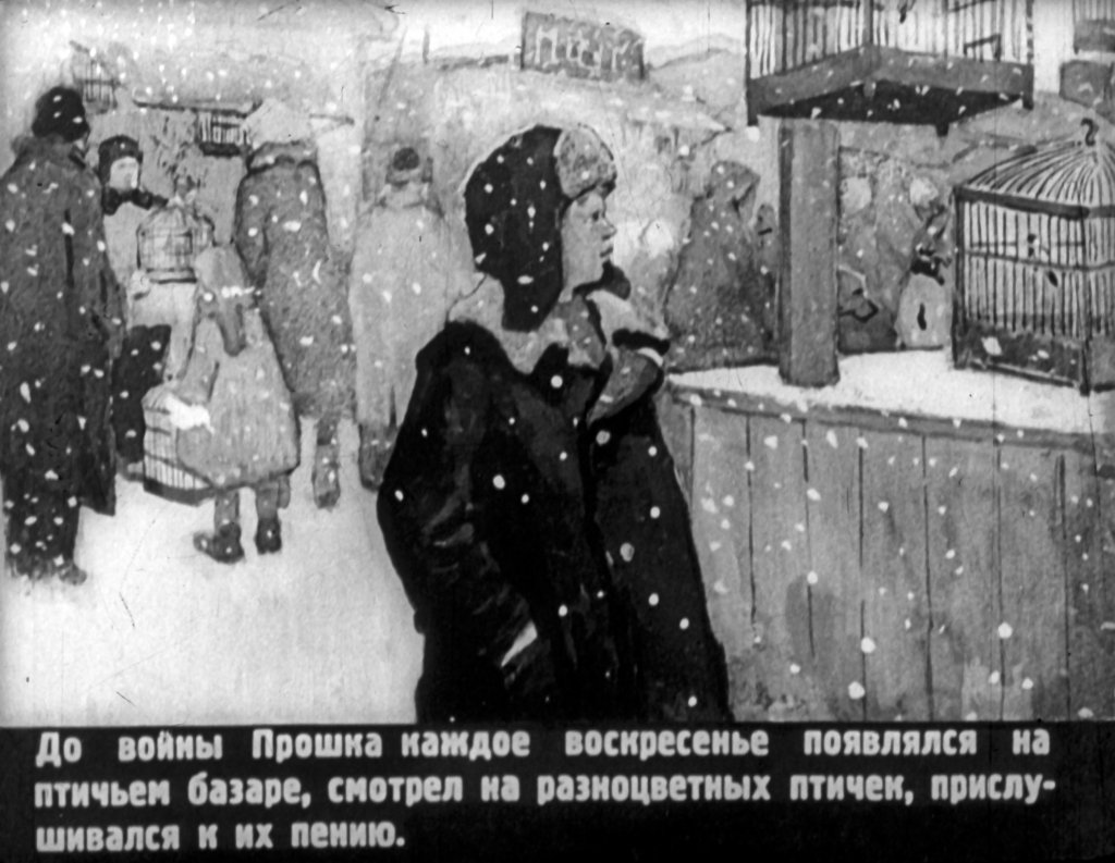Кадр 3 диафильма «Птичий комиссар»