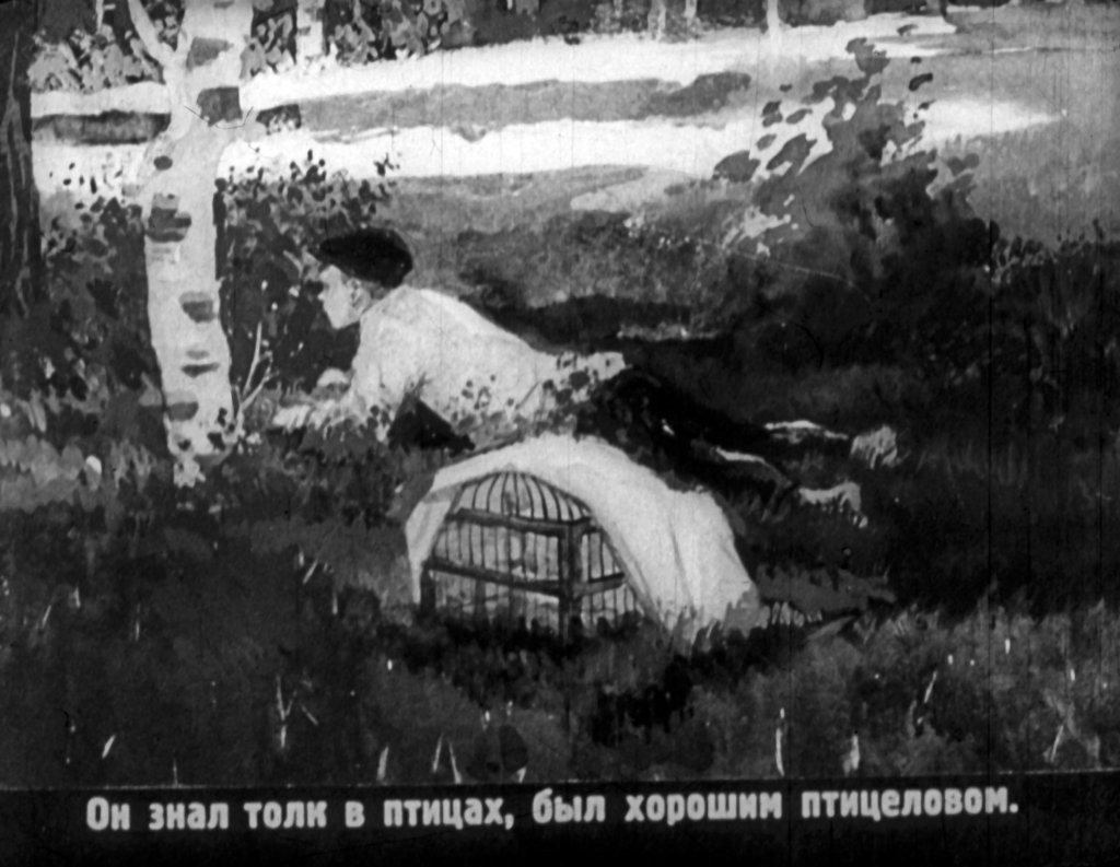 Кадр 4 диафильма «Птичий комиссар»
