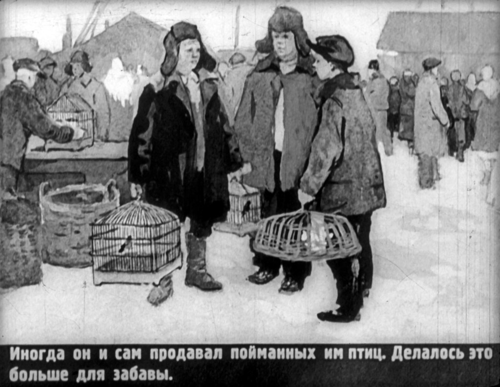 Кадр 5 диафильма «Птичий комиссар»