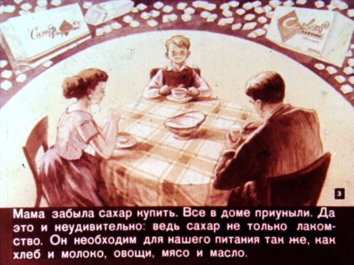 Кадр 3 диафильма «Откуда пришел сахар?»