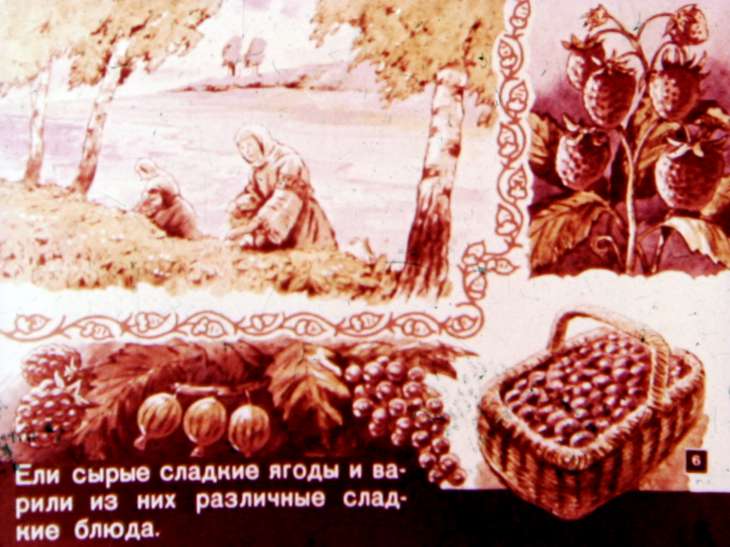 Кадр 6 диафильма «Откуда пришел сахар?»