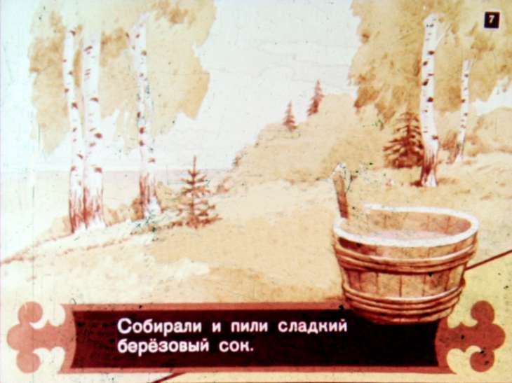 Кадр 7 диафильма «Откуда пришел сахар?»