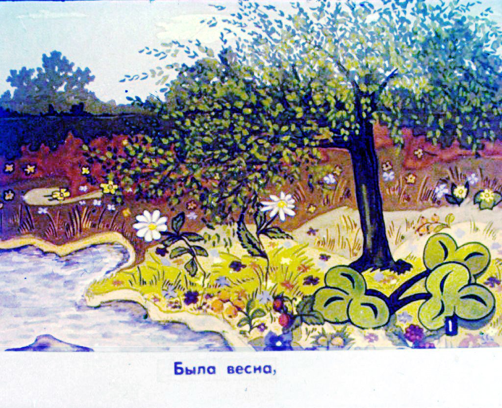 Кадр 2 диафильма «Про фиалку. Часть 1»