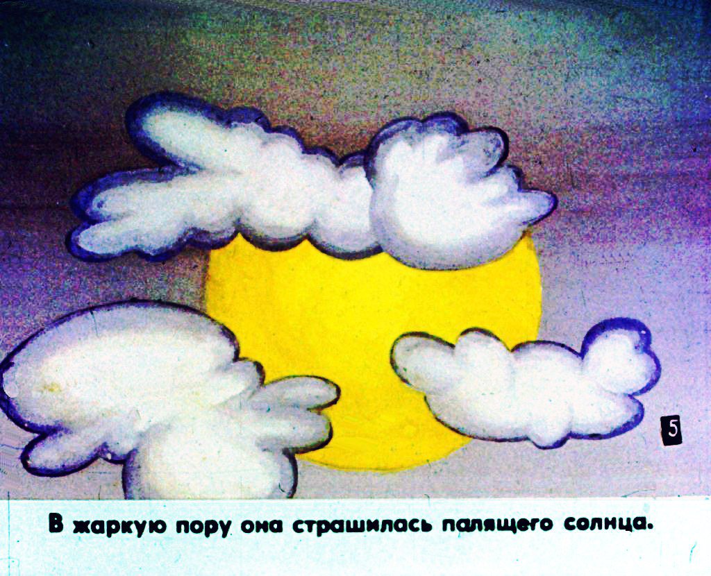 Кадр 6 диафильма «Про фиалку. Часть 1»