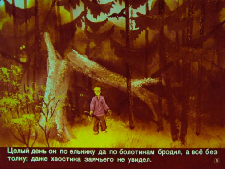Кадр 5 диафильма «Диво дивное»