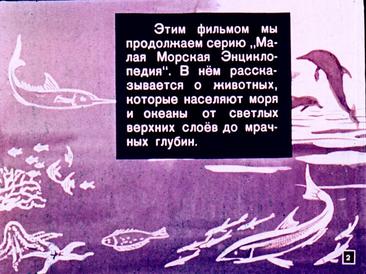 Кадр 2 диафильма «Кто в море живет»