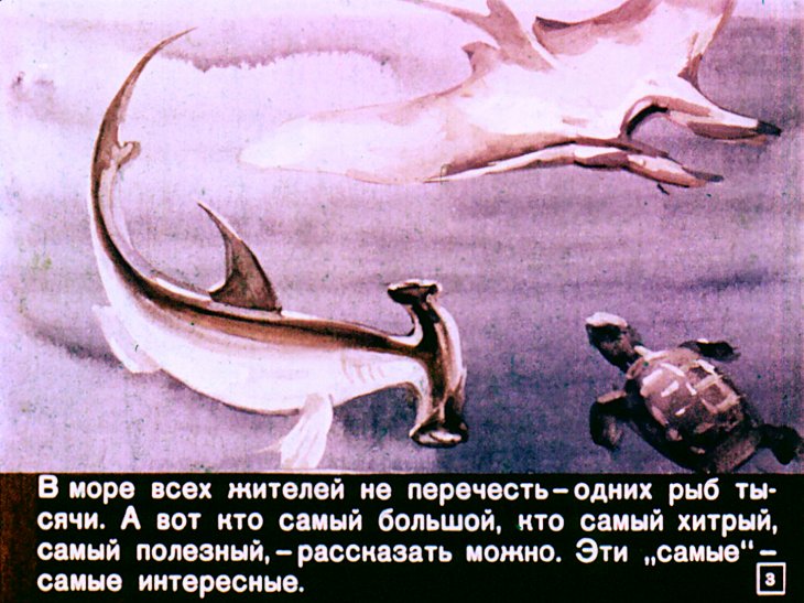 Кадр 3 диафильма «Кто в море живет»