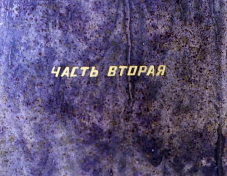 Кадр 2 диафильма «Свадьба соек. Часть 2»