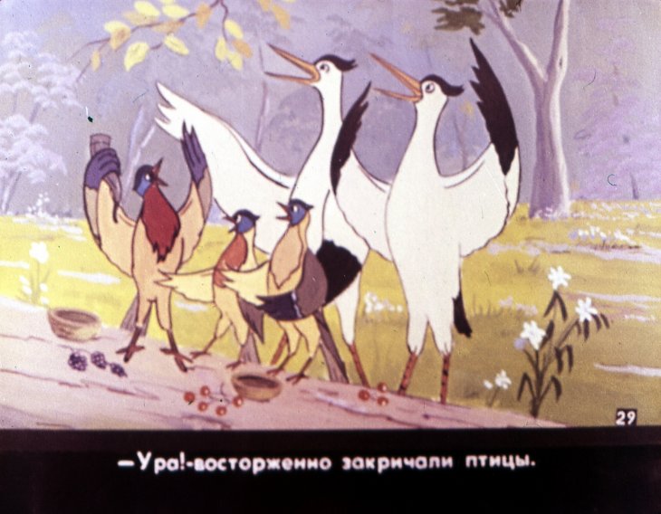 Кадр 3 диафильма «Свадьба соек. Часть 2»