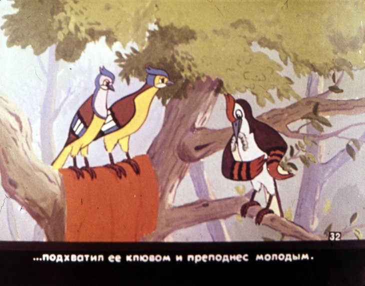 Кадр 6 диафильма «Свадьба соек. Часть 2»