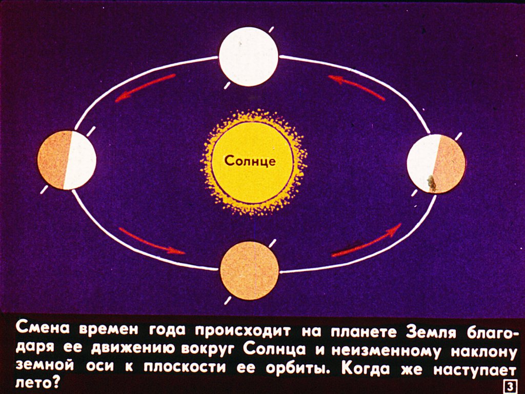 Кадр 3 диафильма «Лето в жизни растений»