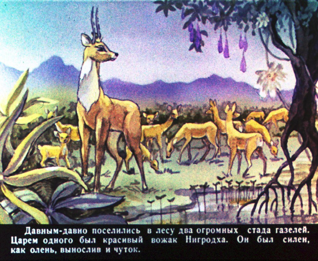 Кадр 2 диафильма «Брамадатха — друг зверей»