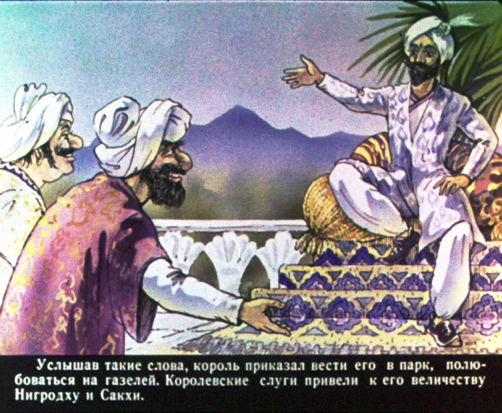 Кадр 7 диафильма «Брамадатха — друг зверей»