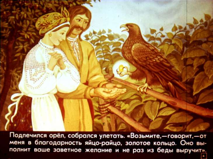 Кадр 4 диафильма «Яйцо-райцо золотое кольцо»
