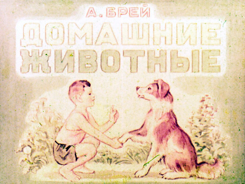 Кадр 1 диафильма «Домашние животные»