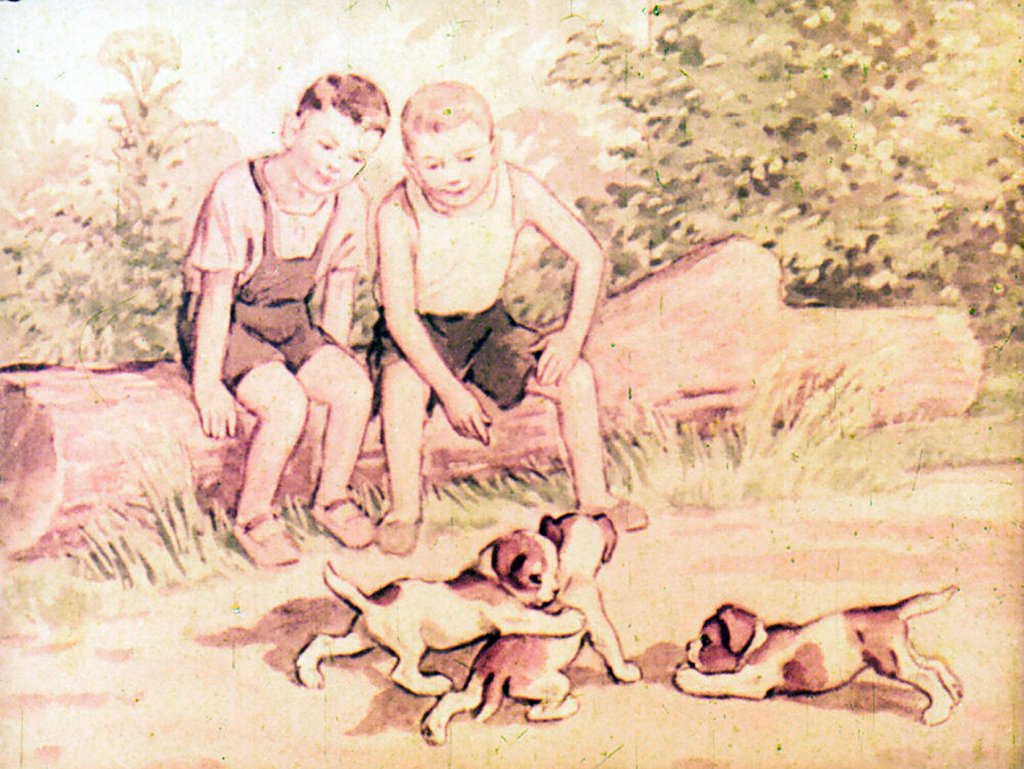 Кадр 3 диафильма «Домашние животные»