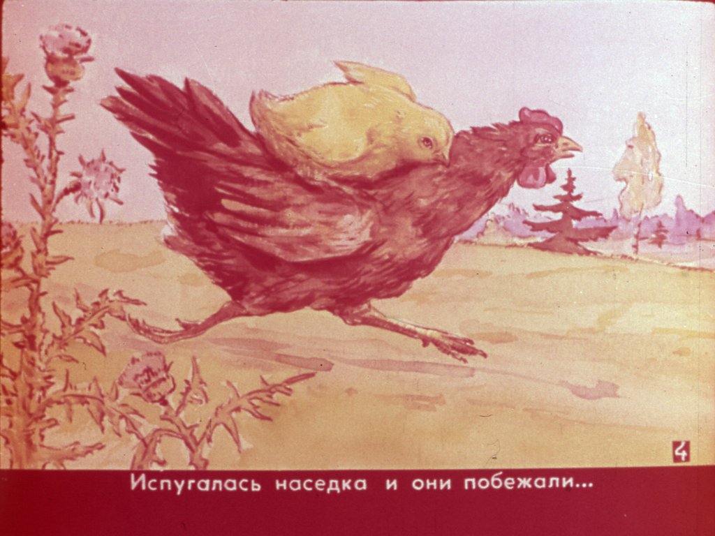 Кадр 5 диафильма «Глазом увиденное, ухом услышанное»
