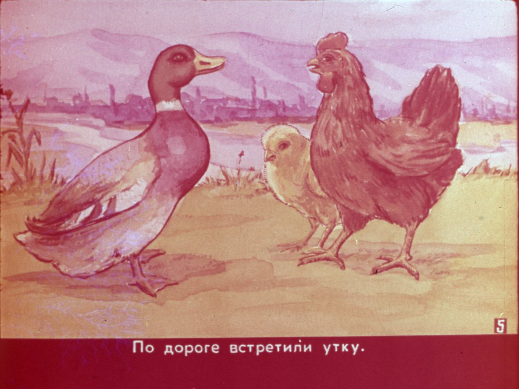Кадр 6 диафильма «Глазом увиденное, ухом услышанное»