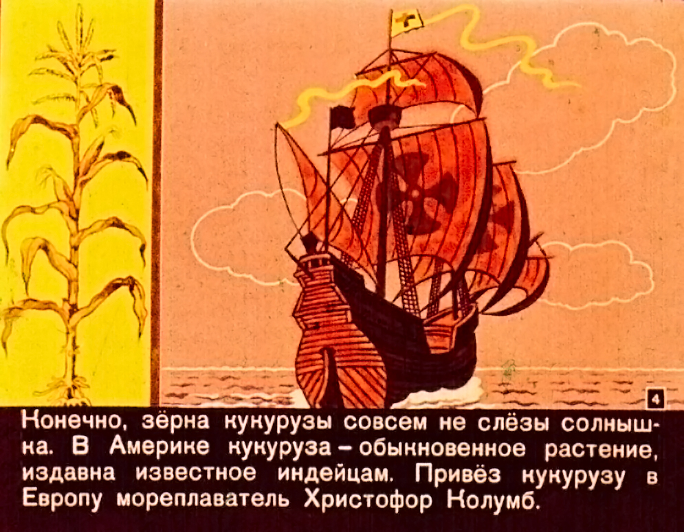 Кадр 4 диафильма «Золотой початок»