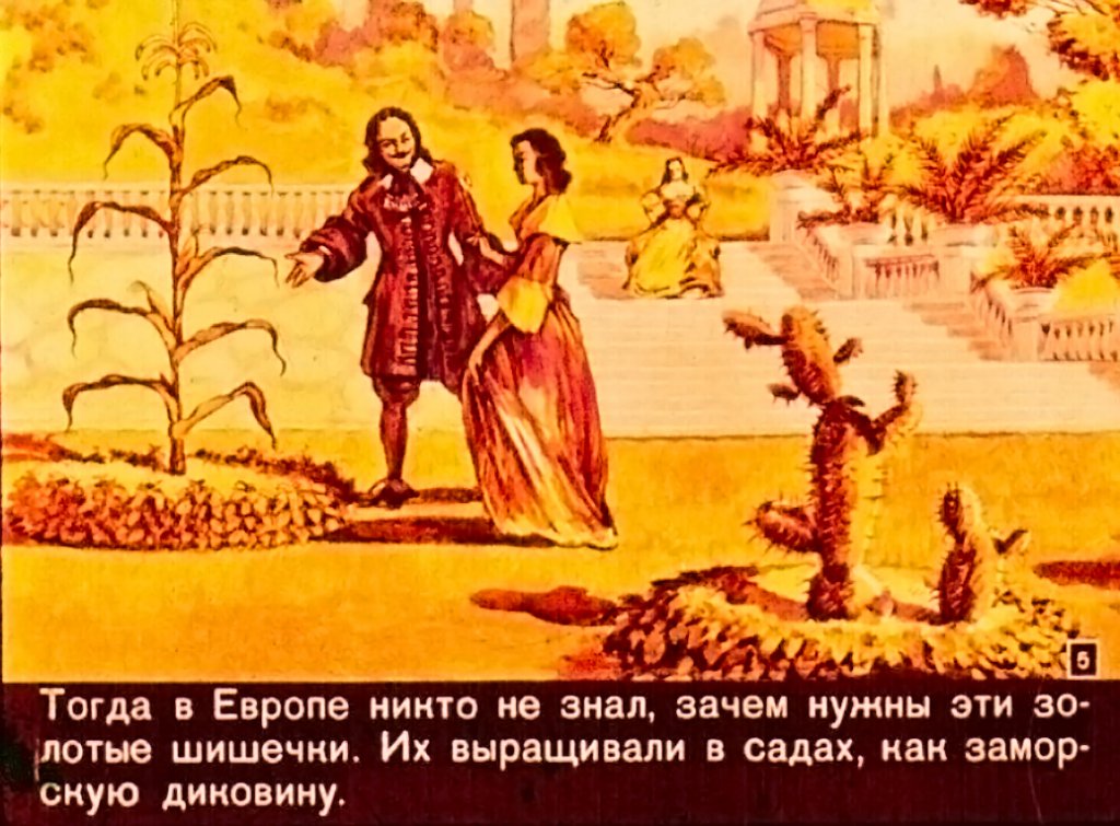 Кадр 5 диафильма «Золотой початок»