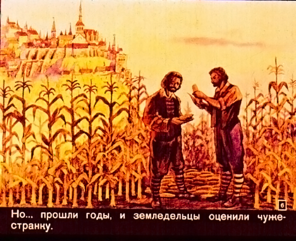Кадр 6 диафильма «Золотой початок»