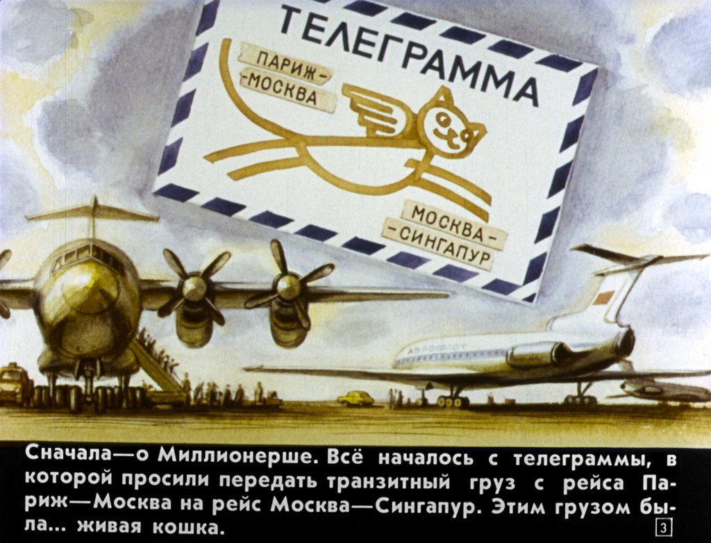 Кадр 3 диафильма «Транзитная кошка»