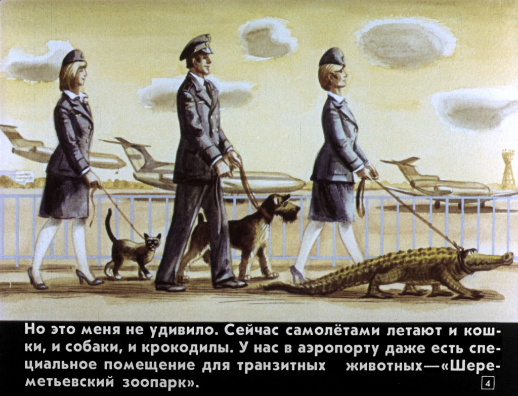 Кадр 4 диафильма «Транзитная кошка»