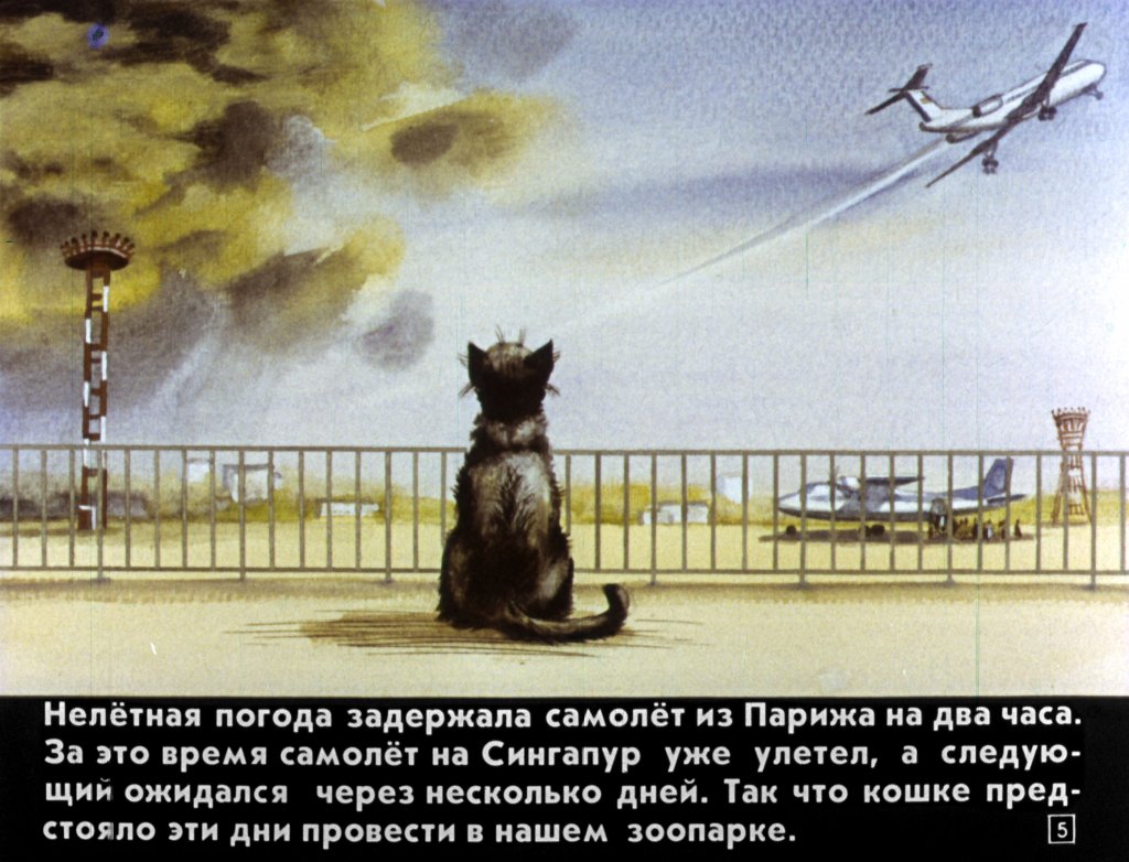 Кадр 5 диафильма «Транзитная кошка»