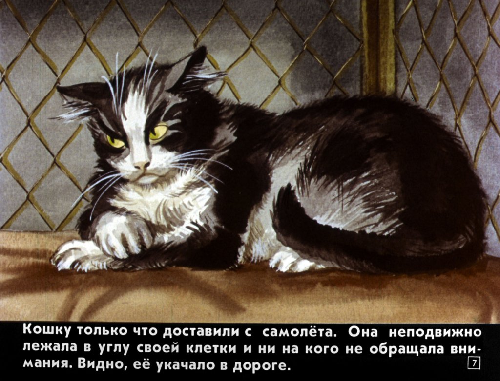 Кадр 7 диафильма «Транзитная кошка»