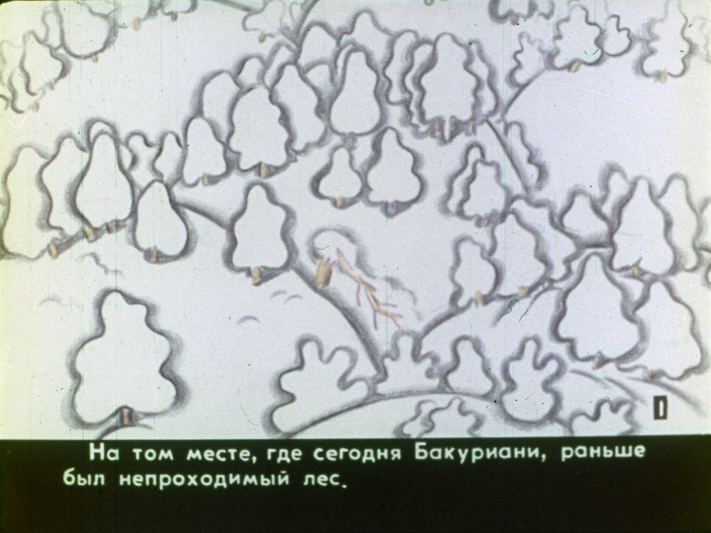 Кадр 2 диафильма «Славный Бакури»