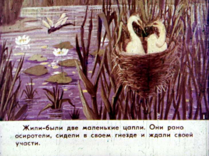 Кадр 2 диафильма «Ленивая цапля»
