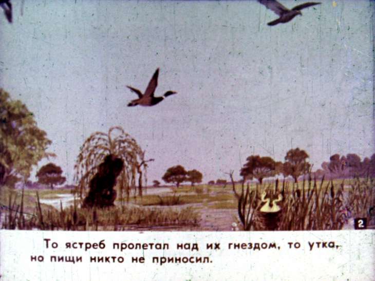 Кадр 3 диафильма «Ленивая цапля»
