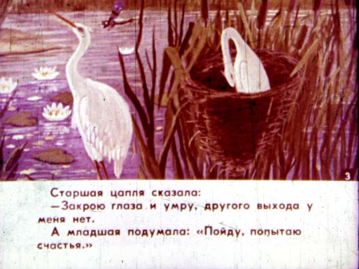Кадр 4 диафильма «Ленивая цапля»