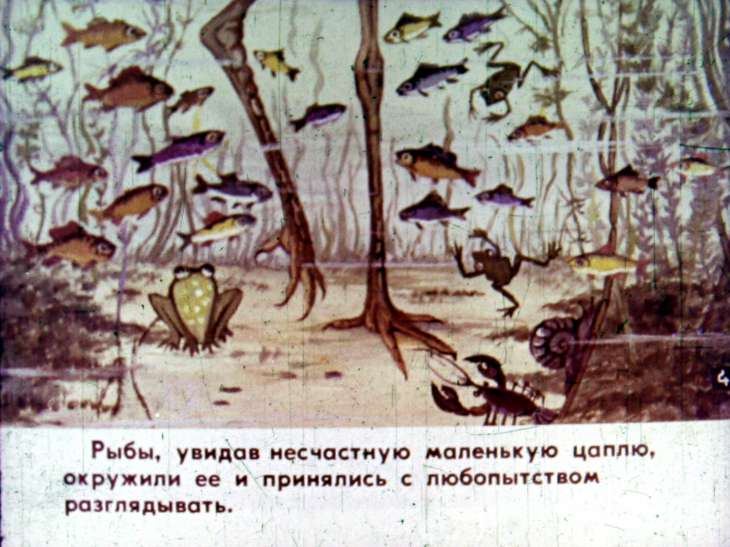Кадр 5 диафильма «Ленивая цапля»