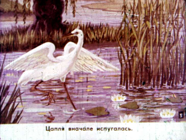 Кадр 6 диафильма «Ленивая цапля»
