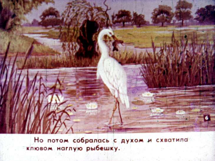 Кадр 7 диафильма «Ленивая цапля»