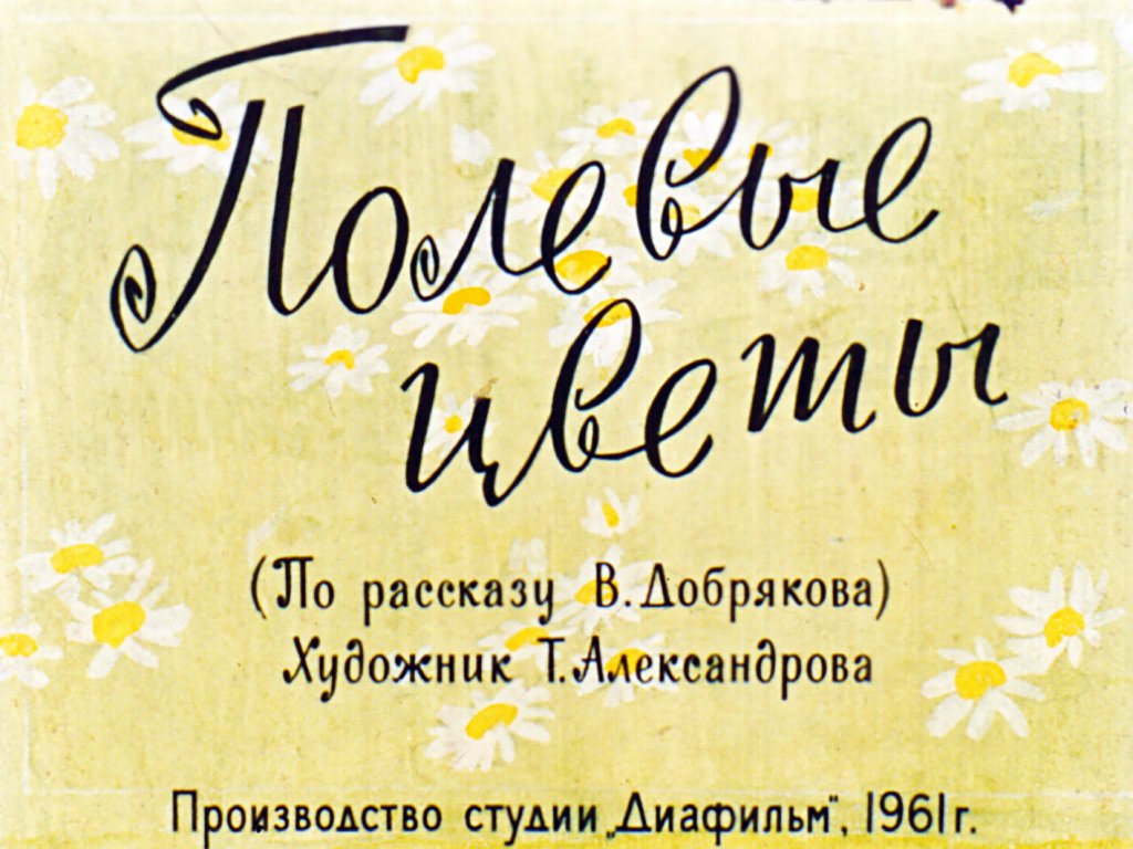 Кадр 1 диафильма «Полевые цветы»