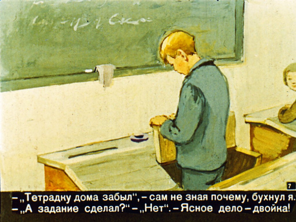 Кадр 7 диафильма «Полевые цветы»