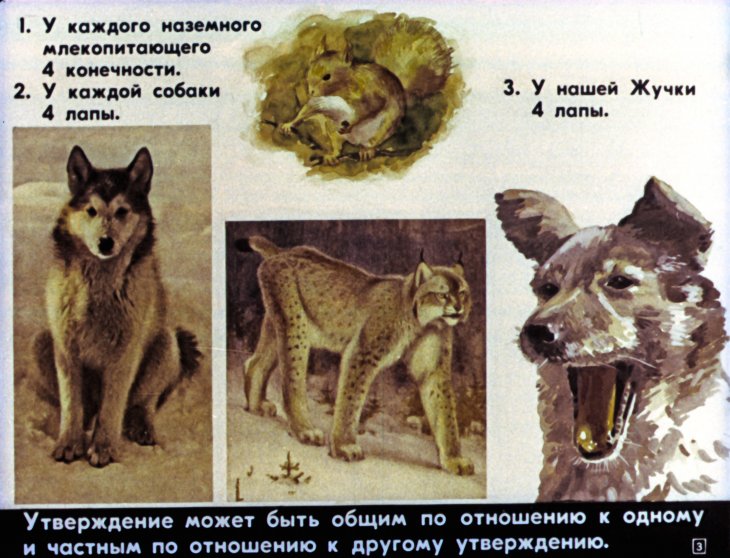Кадр 3 диафильма «Математическая индукция»
