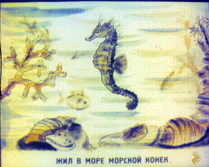 Кадр 3 диафильма «Приключения морского конька»