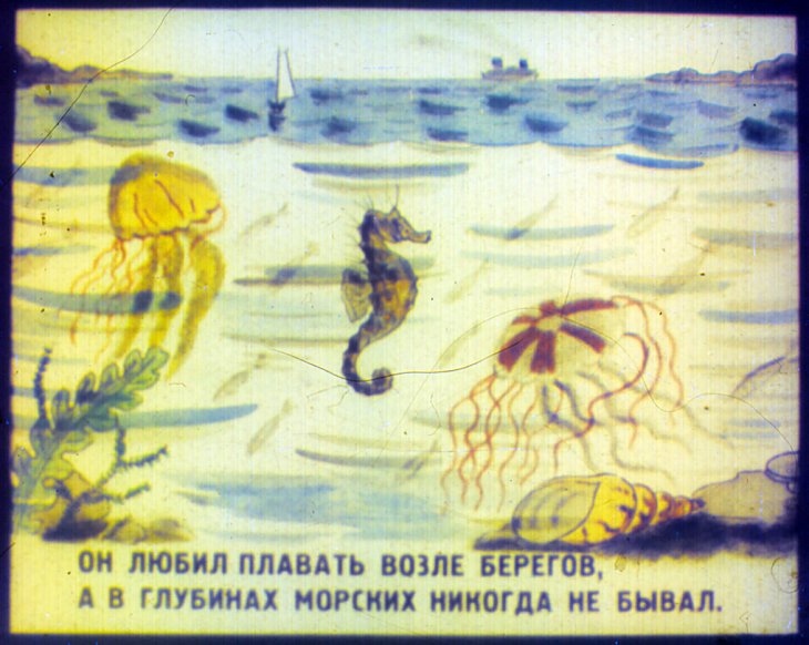 Кадр 4 диафильма «Приключения морского конька»