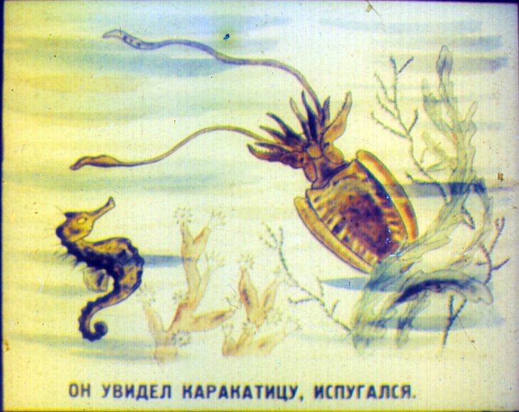 Кадр 5 диафильма «Приключения морского конька»