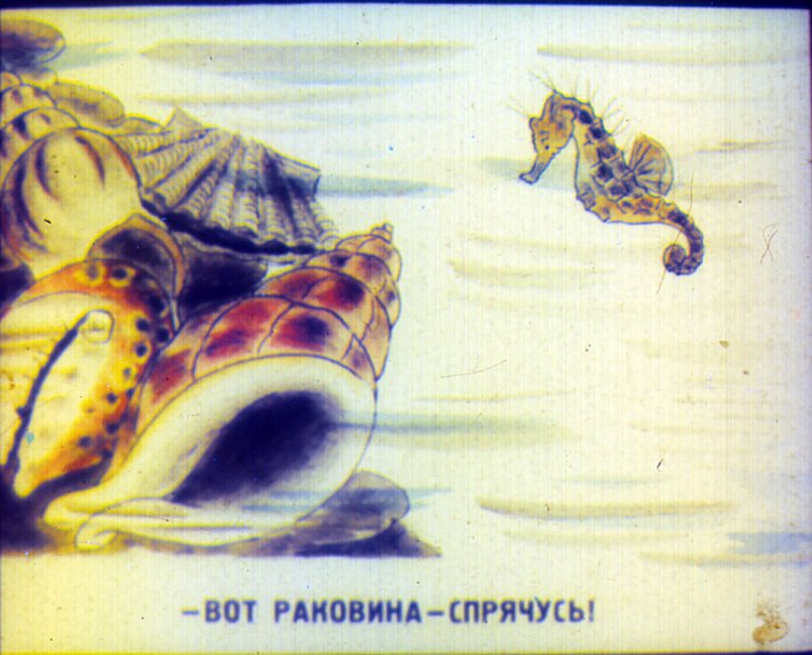 Кадр 6 диафильма «Приключения морского конька»