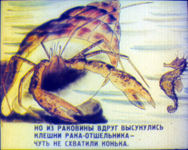 Кадр 7 диафильма «Приключения морского конька»